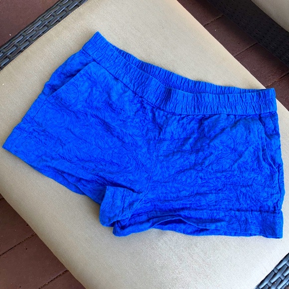 J. Crew Pants - Size 10 J Crew Shorts